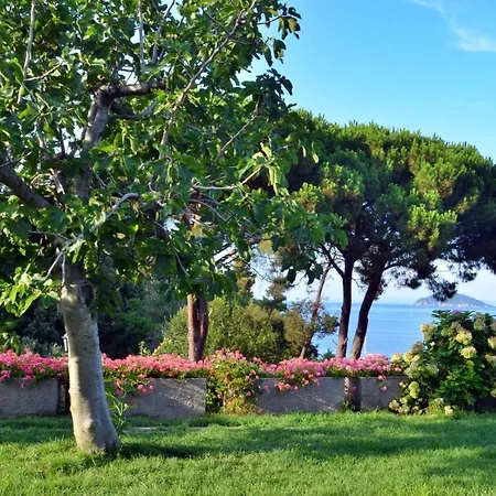 Apartment Casa Del Mare - Oasi A 100m Dal Mare! Marciana Marina (Isola d'Elba)