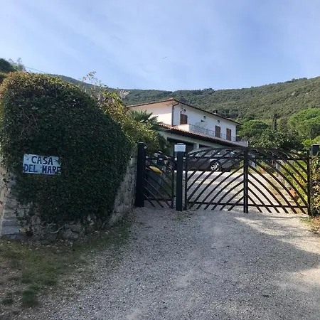 Apartment Casa Del Mare - Oasi A 100m Dal Mare!