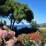 Apartment Casa Del Mare - Oasi A 100m Dal Mare! *