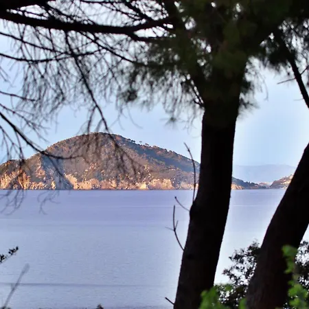 Lägenhet Casa Del Mare - Oasi A 100m Dal Mare! *