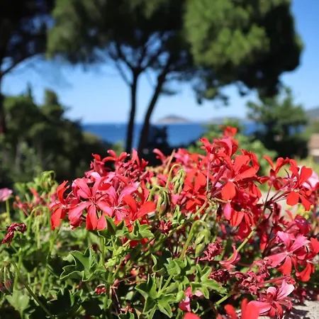 Casa Del Mare - Oasi A 100m Dal Mare! * Marciana Marina (Isola d'Elba)