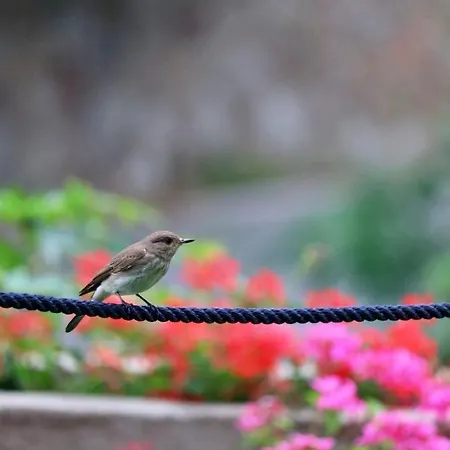Casa Del Mare - Oasi A 100m Dal Mare! *