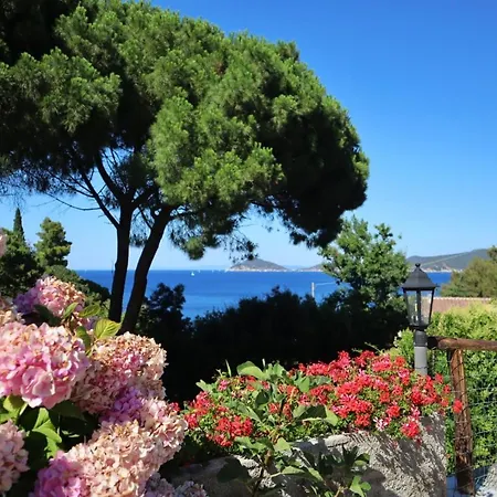 Lägenhet Casa Del Mare - Oasi A 100m Dal Mare! *