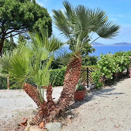 Lägenhet Casa Del Mare - Oasi A 100m Dal Mare!