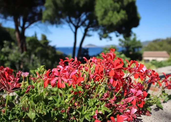 Casa Del Mare - Oasi A 100m Dal Mare! * Марчиана-Марина