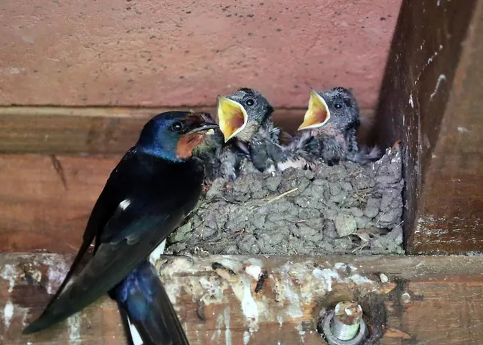 Апартаменты Casa Del Mare - Oasi A 100m Dal Mare! *