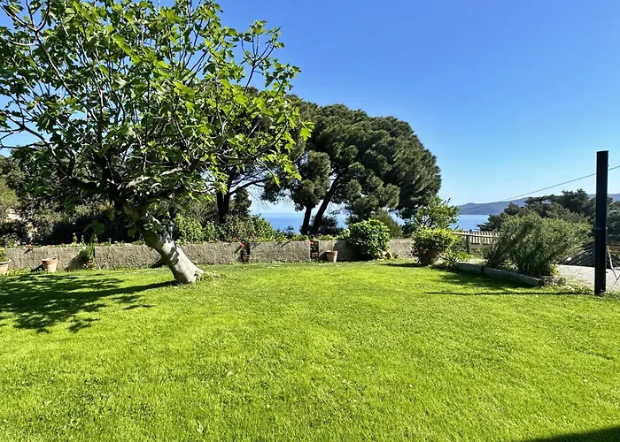 아파트 Casa Del Mare - Oasi A 100m Dal Mare! 마르시아나마리나